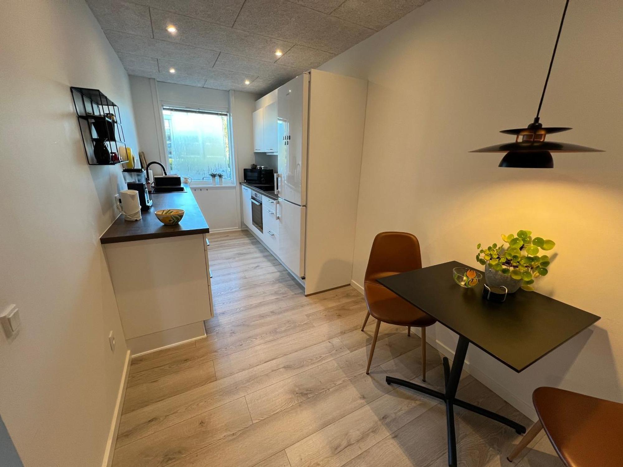 אסביירג Nyrenoveret Lejlighed Med Balkon Og Parkering מראה חיצוני תמונה